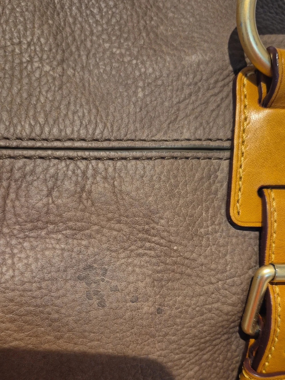 Dooney & Bourke stylish taupe